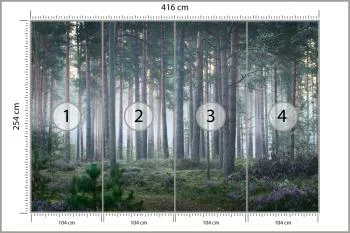 Fototapeta - Spokojny Las o Poranku - obrazek 3