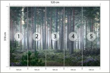 Fototapeta - Spokojny Las o Poranku - obrazek 3