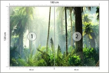 Fototapeta Las We Mgle - obrazek 3