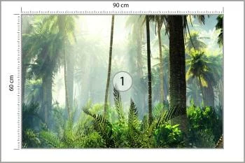 Fototapeta Las We Mgle - obrazek 3