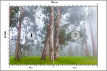 Fototapeta - Drzewa w Mglistym Lesie - obrazek 3