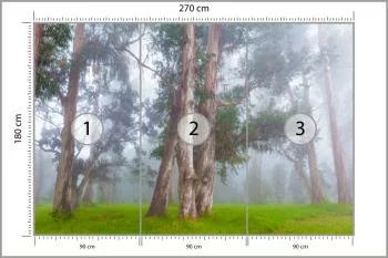 Fototapeta - Drzewa w Mglistym Lesie - obrazek 3