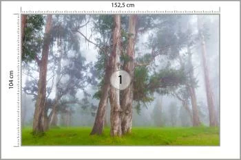 Fototapeta - Drzewa w Mglistym Lesie - obrazek 3