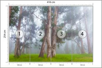 Fototapeta - Drzewa w Mglistym Lesie - obrazek 3