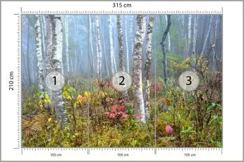 Fototapeta Las We Mgle - obrazek 3