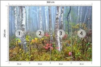 Fototapeta Las We Mgle - obrazek 3