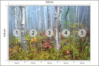 Fototapeta Las We Mgle - obrazek 3