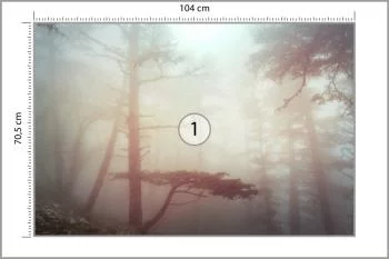 Fototapeta Las We Mgle - obrazek 3