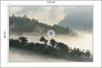 Fototapeta Las We Mgle - obrazek 3
