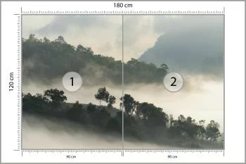 Fototapeta Las We Mgle - obrazek 3