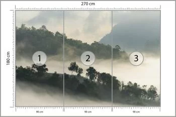 Fototapeta Las We Mgle - obrazek 3