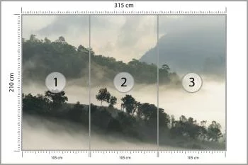 Fototapeta Las We Mgle - obrazek 3