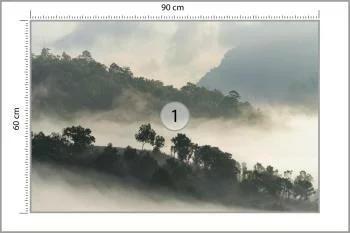 Fototapeta Las We Mgle - obrazek 3