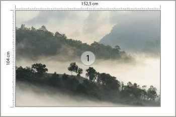 Fototapeta Las We Mgle - obrazek 3