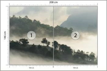 Fototapeta Las We Mgle - obrazek 3
