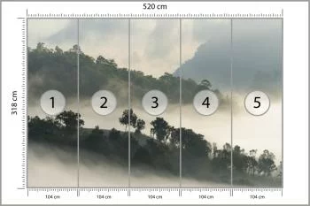 Fototapeta Las We Mgle - obrazek 3