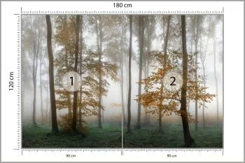Fototapeta Las We Mgle - obrazek 3