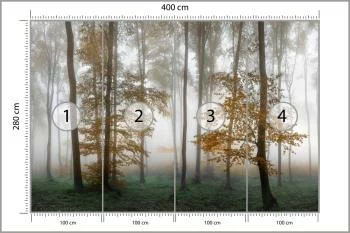 Fototapeta Las We Mgle - obrazek 3
