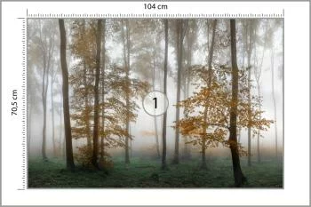 Fototapeta Las We Mgle - obrazek 3