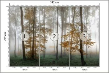 Fototapeta Las We Mgle - obrazek 3