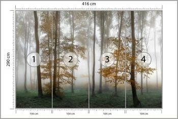 Fototapeta Las We Mgle - obrazek 3