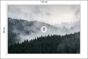 Fototapeta Mglisty Las Sosnowy - obrazek 3