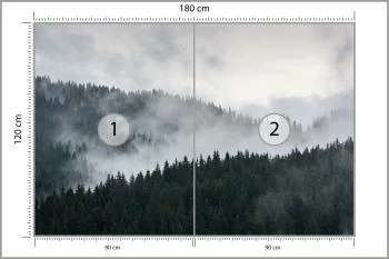 Fototapeta Mglisty Las Sosnowy - obrazek 3