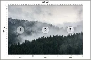 Fototapeta Mglisty Las Sosnowy - obrazek 3