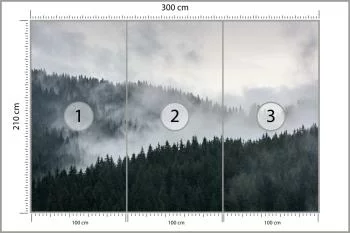 Fototapeta Mglisty Las Sosnowy - obrazek 3