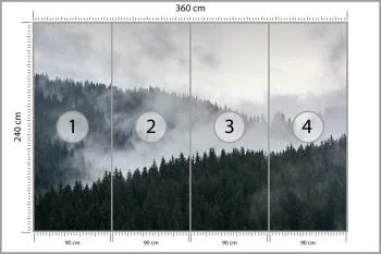 Fototapeta Mglisty Las Sosnowy - obrazek 3