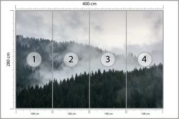 Fototapeta Mglisty Las Sosnowy - obrazek 3