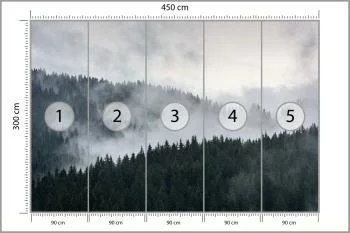 Fototapeta Mglisty Las Sosnowy - obrazek 3