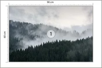 Fototapeta Mglisty Las Sosnowy - obrazek 3