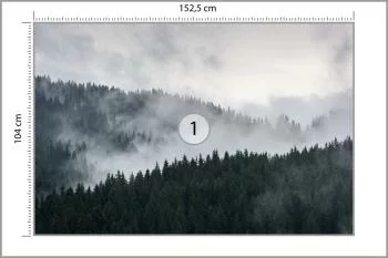Fototapeta Mglisty Las Sosnowy - obrazek 3