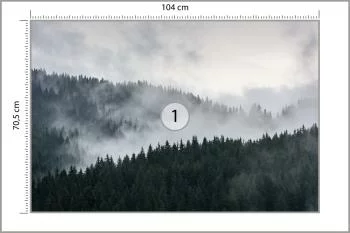 Fototapeta Mglisty Las Sosnowy - obrazek 3
