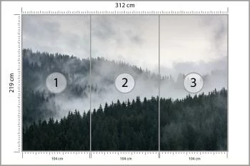 Fototapeta Mglisty Las Sosnowy - obrazek 3