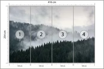 Fototapeta Mglisty Las Sosnowy - obrazek 3