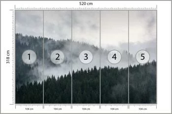Fototapeta Mglisty Las Sosnowy - obrazek 3