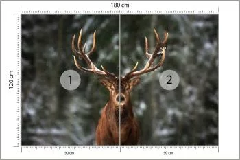 Fototapeta Jeleń W Lesie - obrazek 3