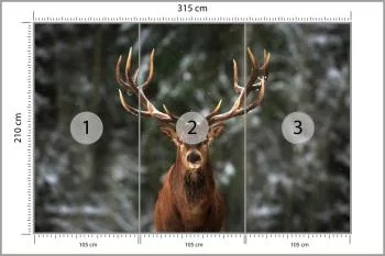 Fototapeta Jeleń W Lesie - obrazek 3