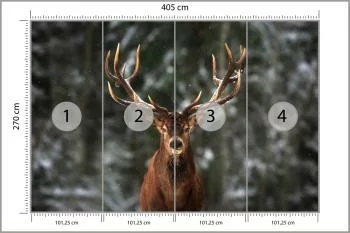 Fototapeta Jeleń W Lesie - obrazek 3