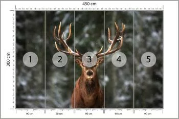 Fototapeta Jeleń W Lesie - obrazek 3