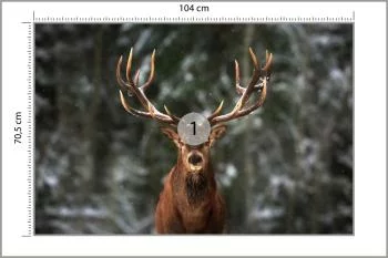 Fototapeta Jeleń W Lesie - obrazek 3