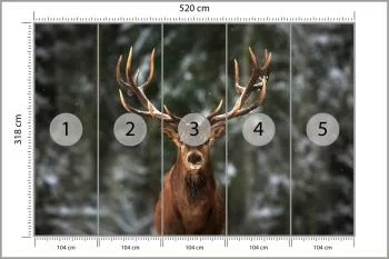 Fototapeta Jeleń W Lesie - obrazek 3