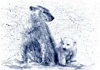 Fototapeta Niedźwiedzie Polarne - obrazek 2