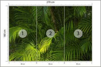 Fototapeta Liście Palmowe - obrazek 3