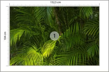 Fototapeta Liście Palmowe - obrazek 3