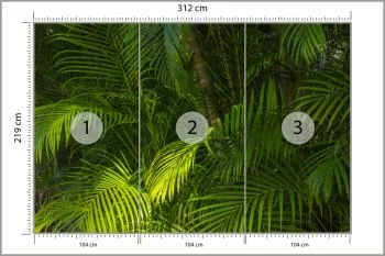 Fototapeta Liście Palmowe - obrazek 3