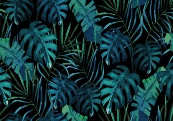 Fototapeta Liście Monstera - obrazek 2