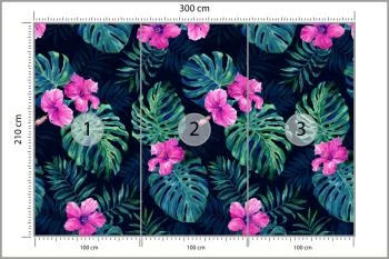 Fototapeta Liście Monstera - obrazek 3